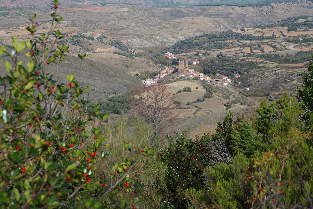 Vivienda Turistica Los Mesones Agreda Екстер'єр фото